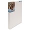 Masterpiece Tahoe Cotton Canvas - 18" x 24", 2-1/2" Profile, Acrylic Primed